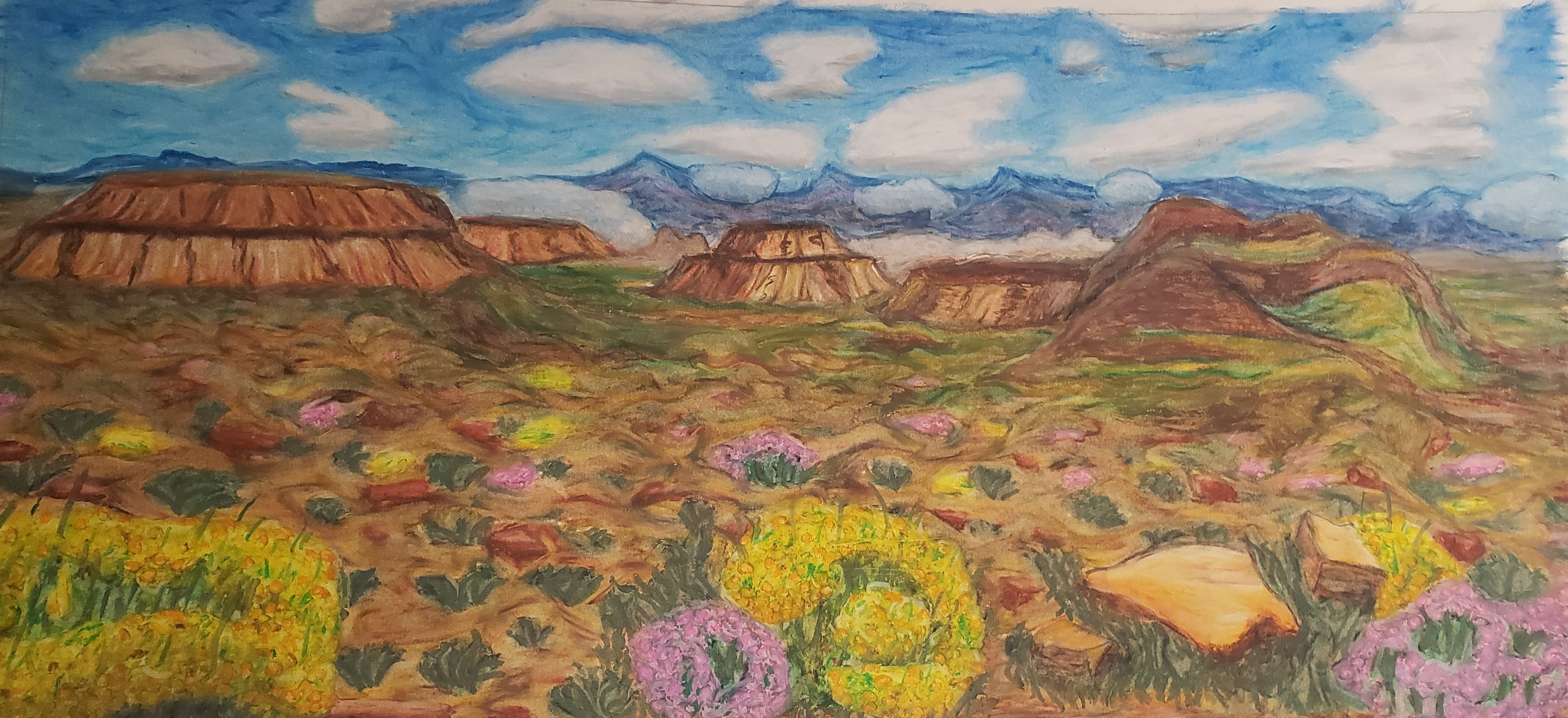 Pastel picture of Karoo Desert with blue sky and white clouds at top with mountains and bluffs along the middle of the image leading into brush, wildflowers, and rocky terrain. - Kanna's Botanicals