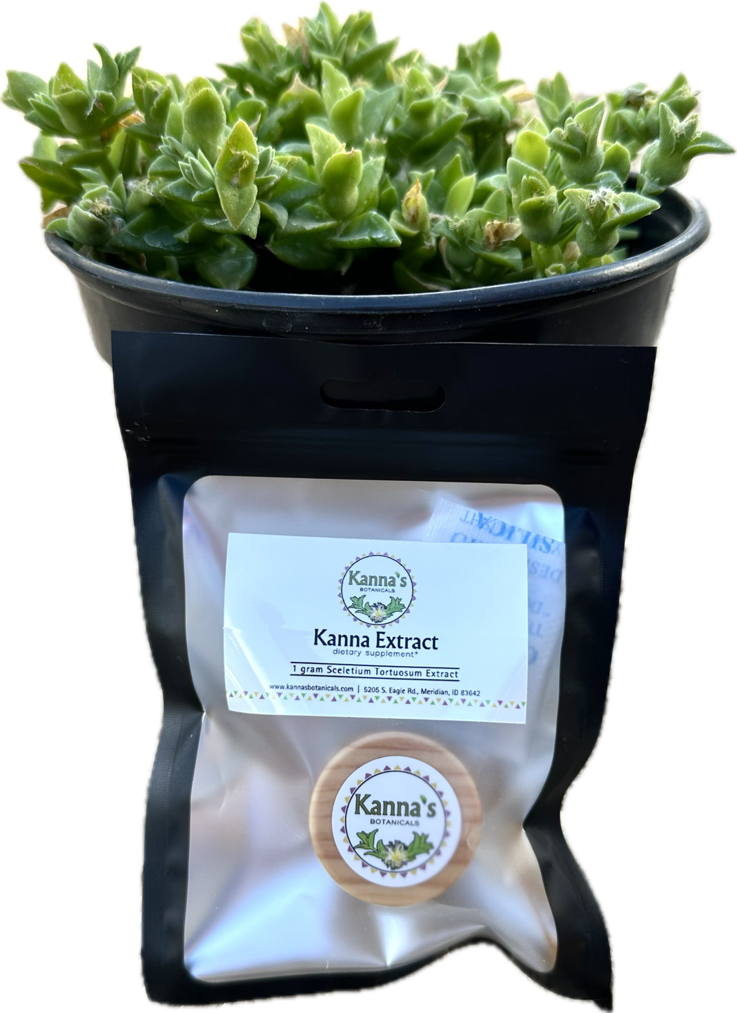 Black bag package with clear front with a Kanna's Botanicals Kanna extract label above a small jar with a wooden lid with Kanna's Botanicals front label in front of a black pot with a green kanna plant growing.
Product: Kanna Full Spectrum Extract Powder (1g jar). 
- Kanna's Botanicals LLC