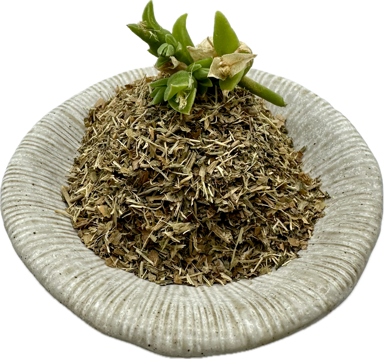 Kanna Dried Leaf (1oz) in a striped ceramic dish with a live green kanna plant stock on top.
Product: Kanna Dried Leaf (1oz bag)
- Kanna's Botanicals LLC