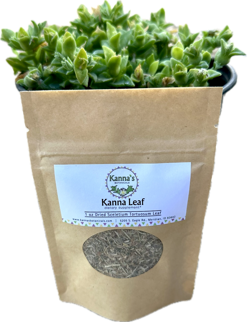 Kanna Dried Leaf 1oz tan bag with a white Kanna's Botanicals Dried Leaf Label above a round plastic viewing window with dried leaf inside in front of a black pot with a green kanna plant growing.
Product: Kanna Dried Leaf (1oz bag) 
- Kanna's Botanicals LLC